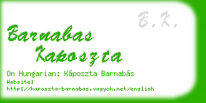 barnabas kaposzta business card